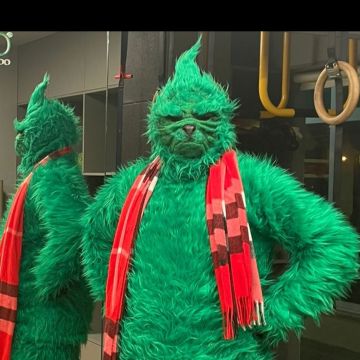 Mr.Grinch - Vila do Conde - Animação - Personagens e Mascotes