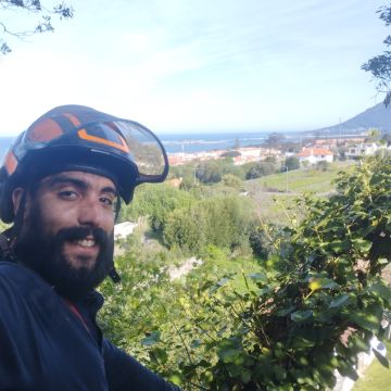 Filipeplacidoarborista - Maia - Shrub Removal