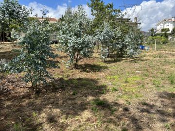 JP zona verde - Santa Maria da Feira - Lawn Mowing and Trimming