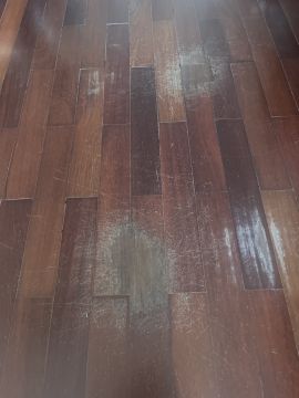 Técnico de Pisos em Madeira