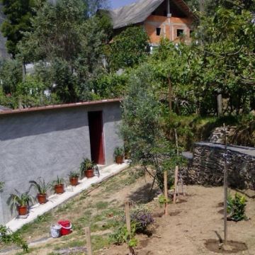 Cantinho Verde - Braga - Shrub Removal