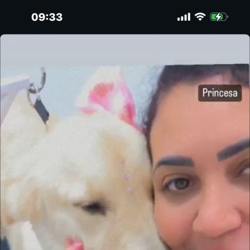 Lidiane - Sintra - Banhos e Tosquias para Animais