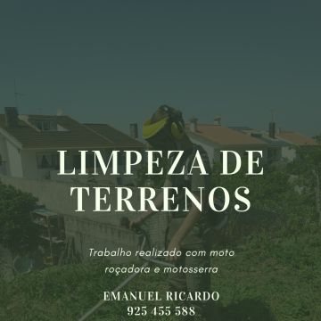 Emanuel Ricardo - Mafra - Tree Stump Grinding and Removal