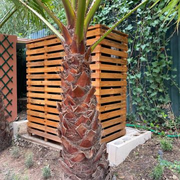 Construmed Marcenaria - Cascais - Cabinet Refacing
