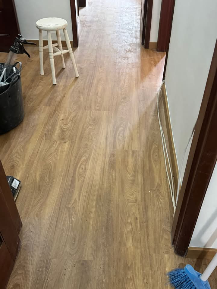 Multiservice - Almada - Remoção de Arbustos