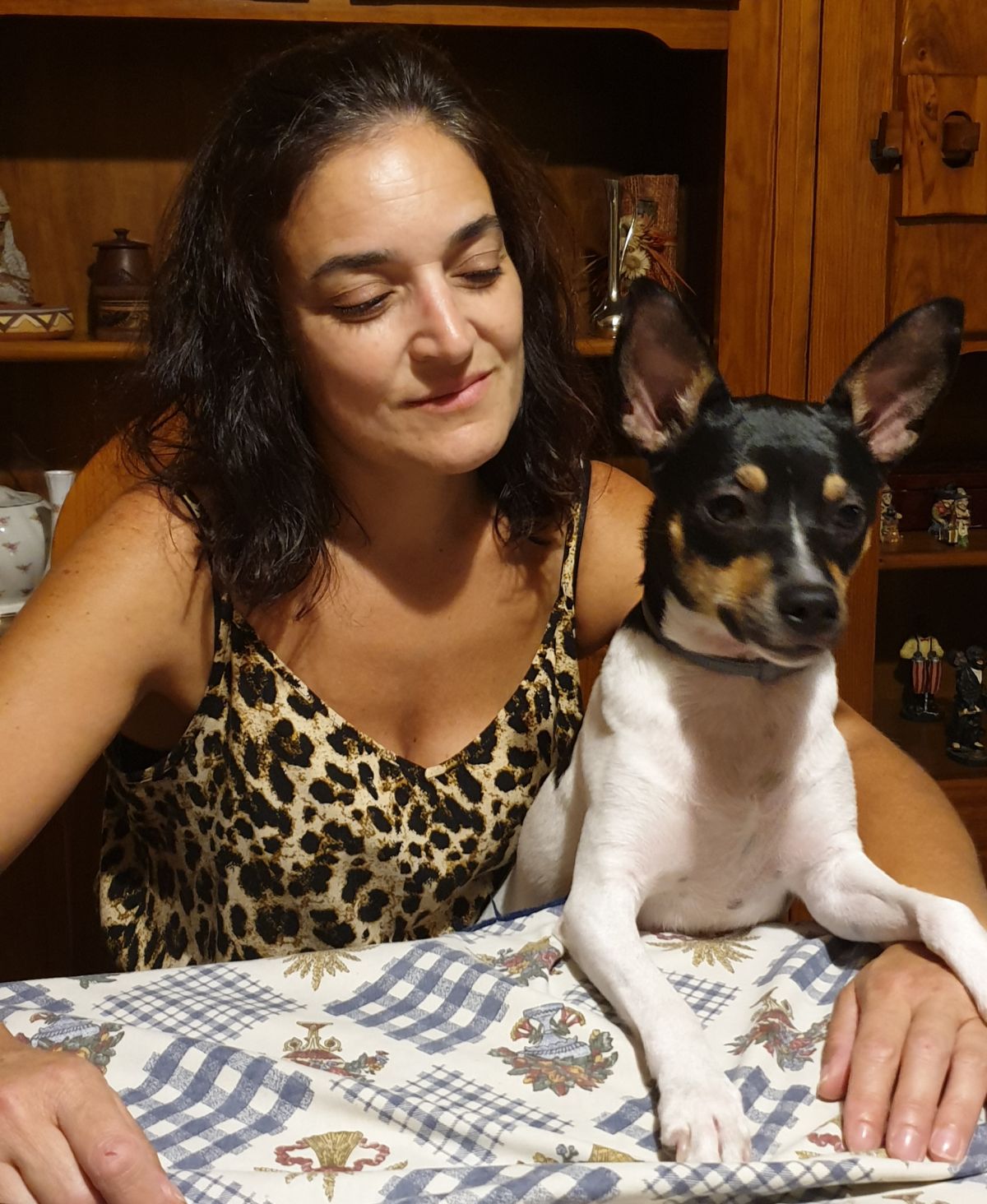 Natália Pereira Amaral - Fundão - Dog Walking