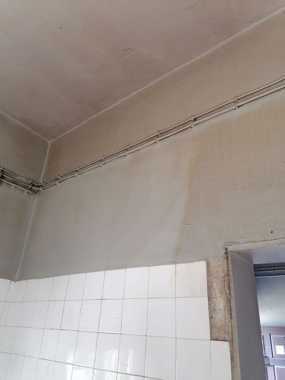 Monica - Torres Vedras - Limpeza de Propriedade