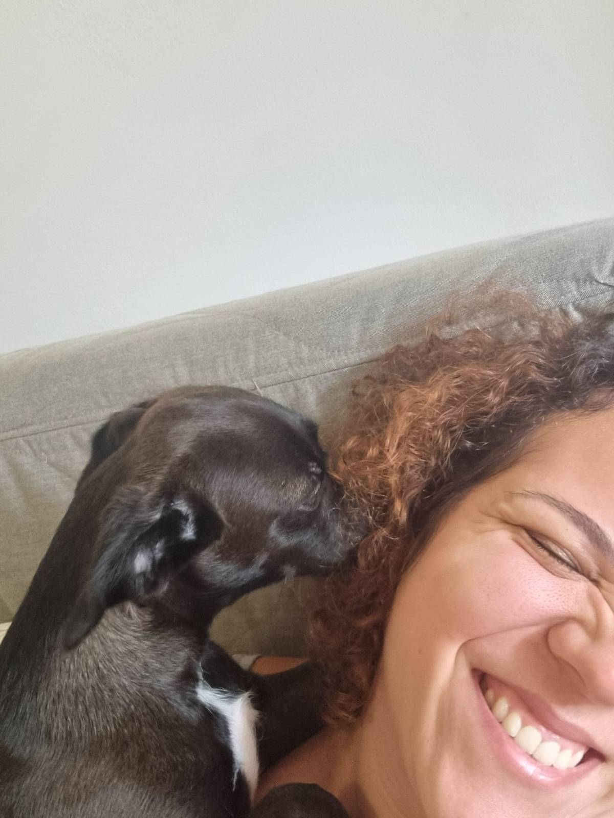 Maira Ramos - Almada - Pension pour chiens