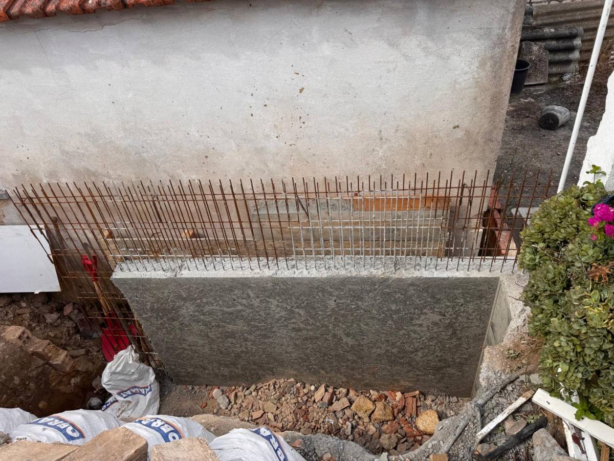 Araújo construção civil - Cascais - Poda y mantenimiento de árboles