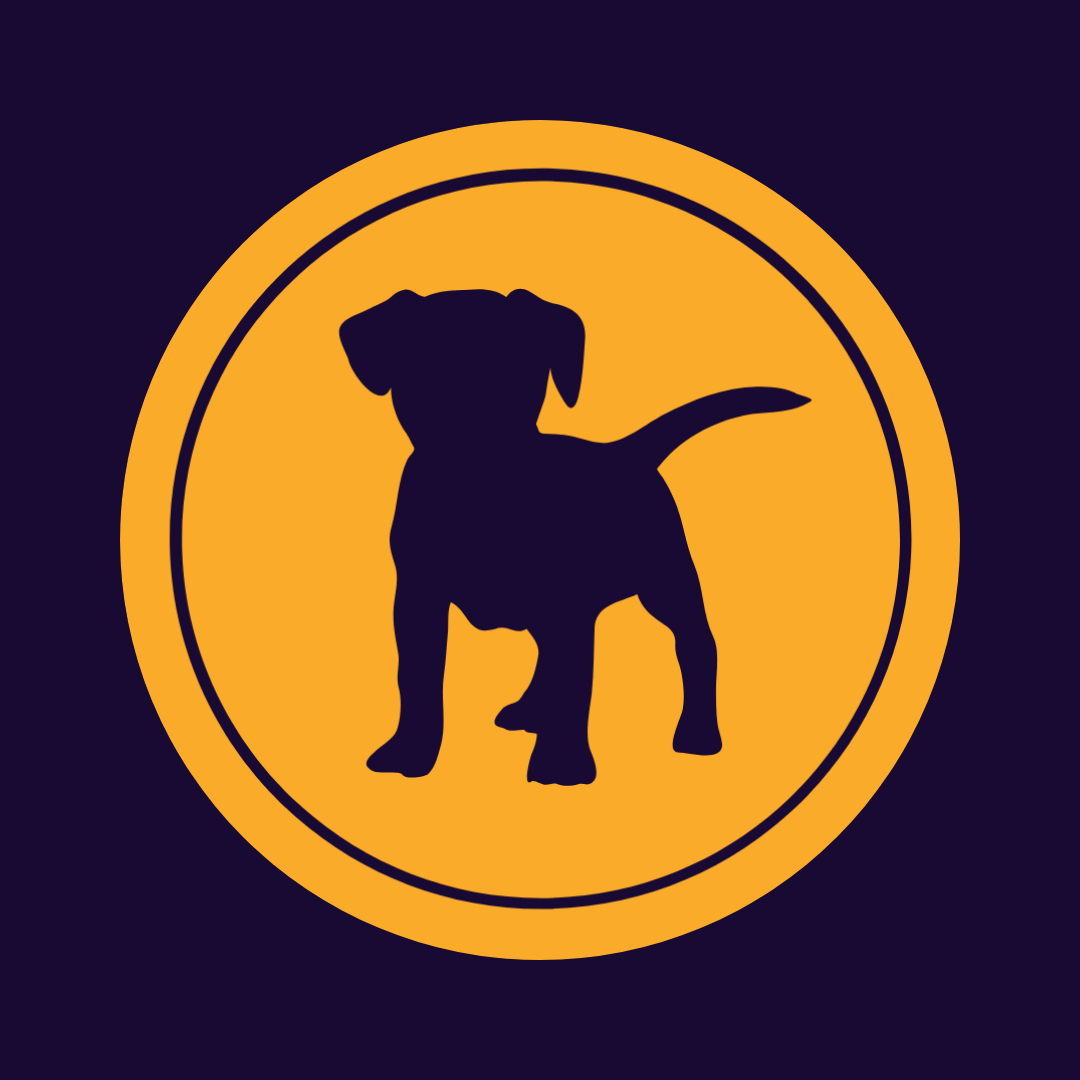 Prime K9 - Treino de Cães ao Domicílio, em Lisboa e Margem Sul - Lisboa - Modificação de Comportamento Animal