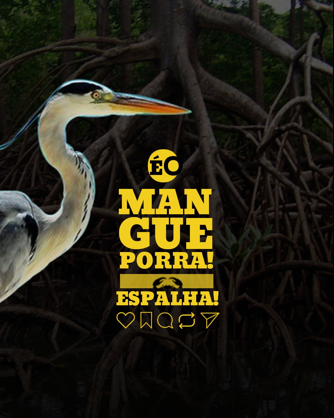 Voe Local | Consultoria de Marketing e Desenvolvimento de Marcas - Fafe - Gestão de Redes Sociais