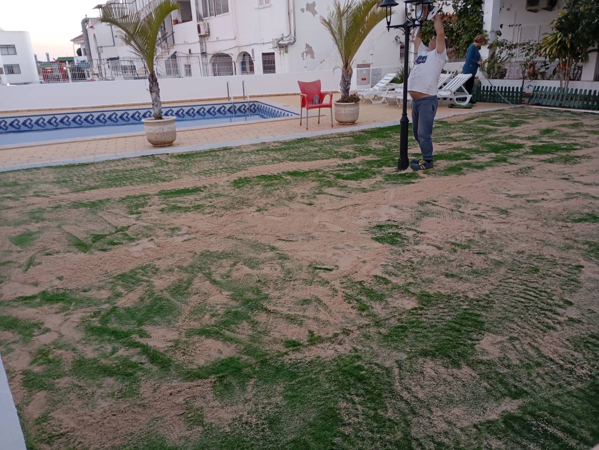 Amândio - Albufeira - Remoção de Tronco de Árvore