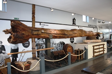 ANA DOURADO.ARQUITETA - Coimbra - Picture Hanging and Art Installation