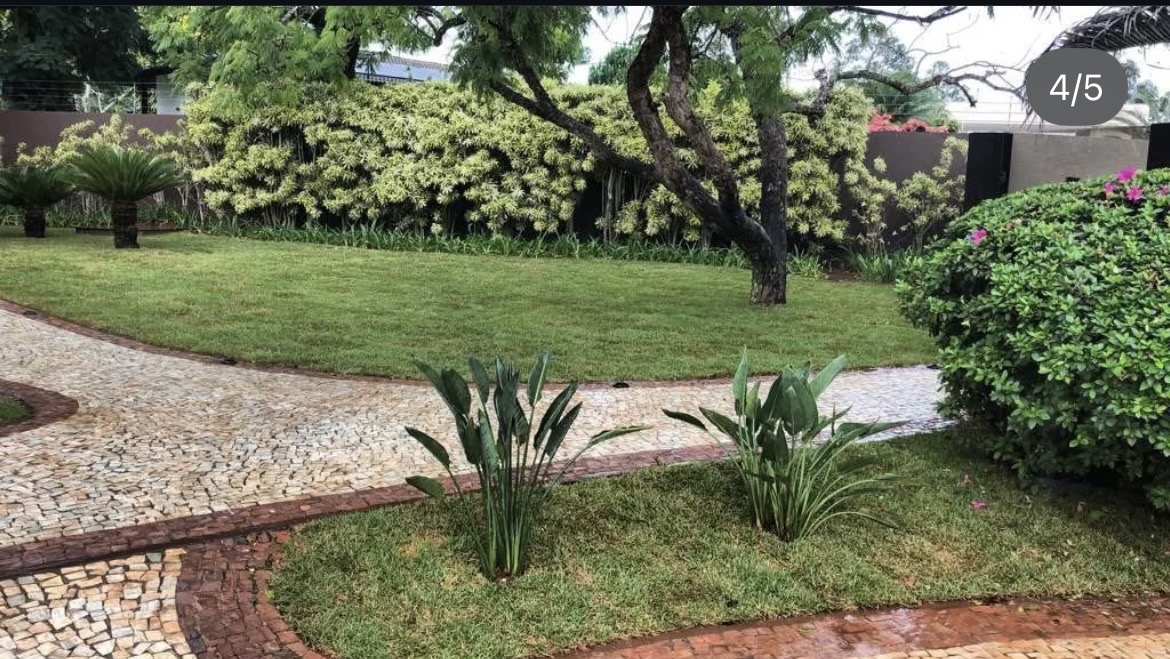 Cerrado Nobre - Figueira da Foz - Nettoyage en profondeur
