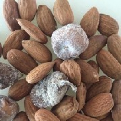 Conceição Silva - Oeiras - Nutritionist