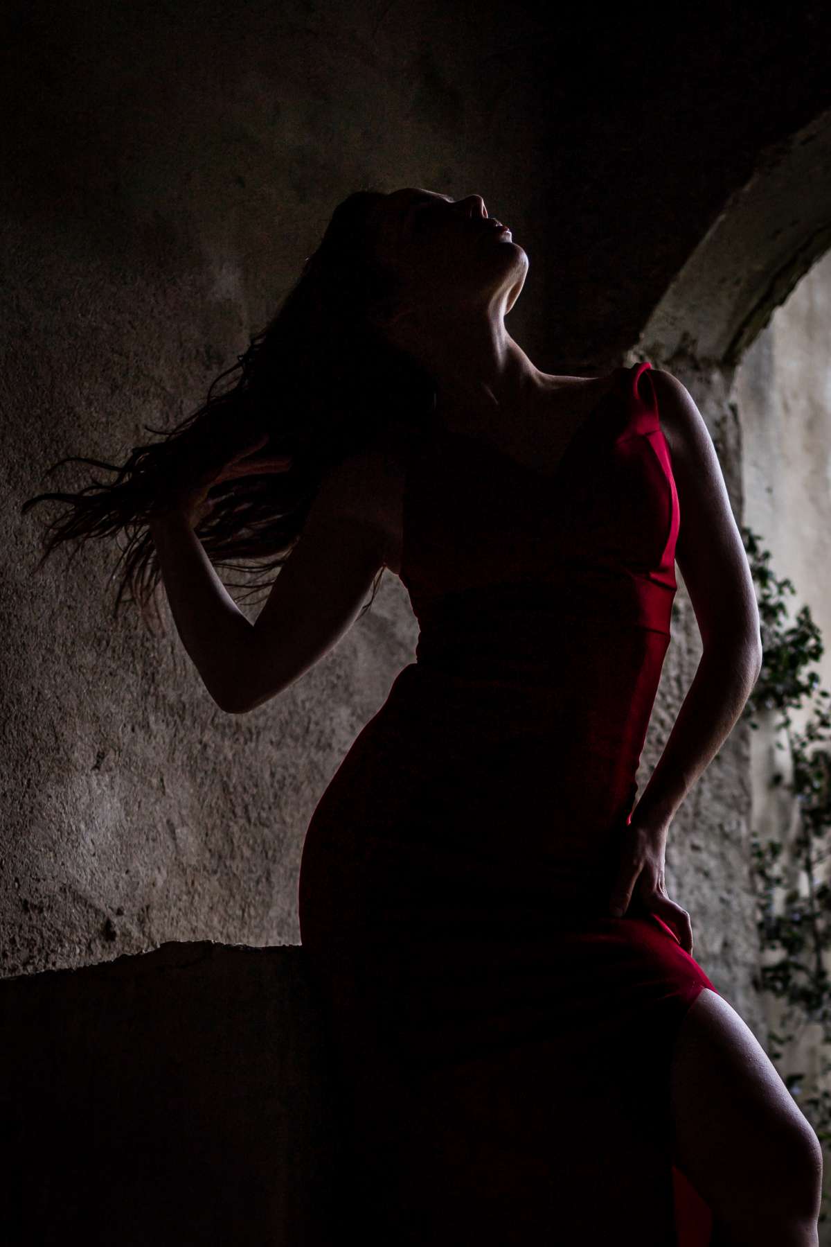 Alpha Impact - Lisboa - Pet Photography