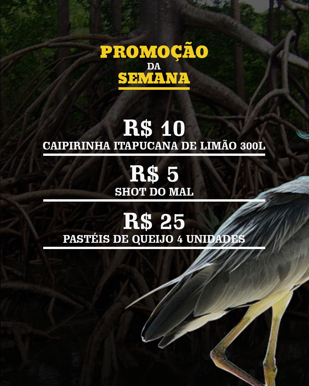 Voe Local | Consultoria de Marketing e Desenvolvimento de Marcas - Fafe - Serviços de Apresentações