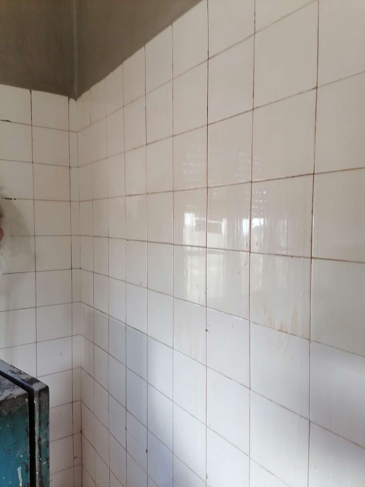 Monica - Torres Vedras - Limpeza a Fundo