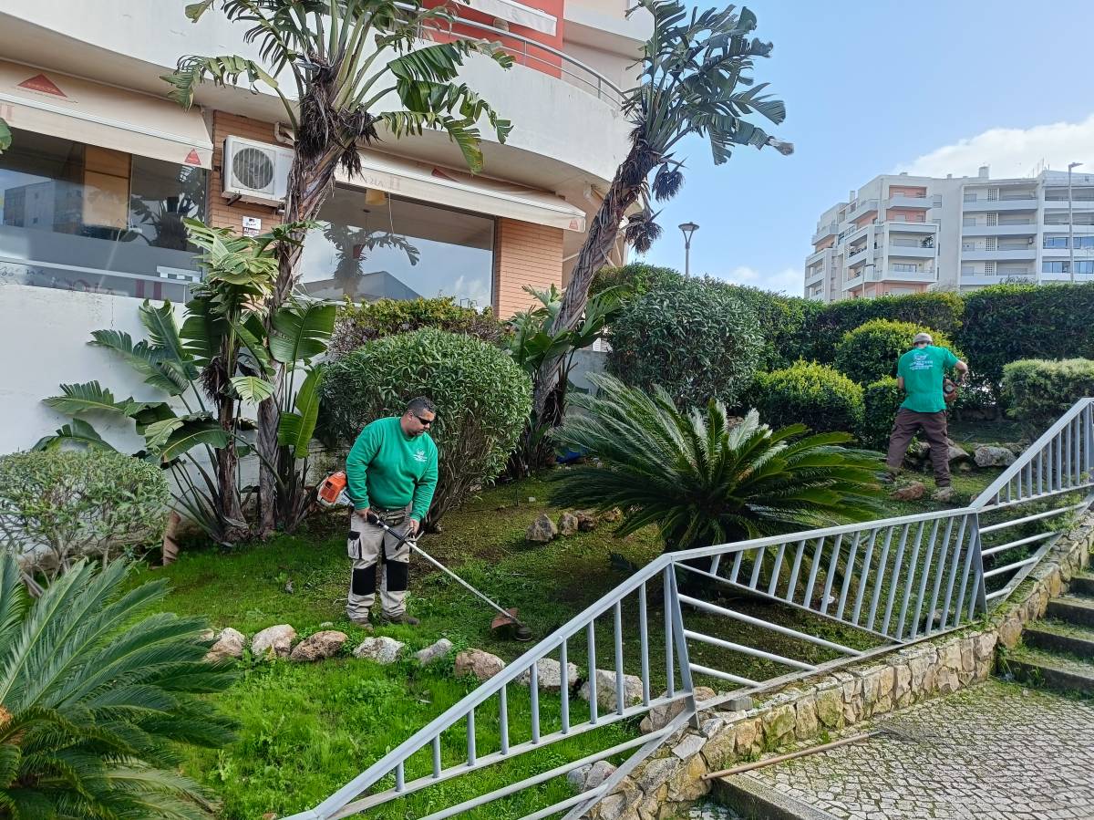 Império Verde - Portimão - Shrub Removal