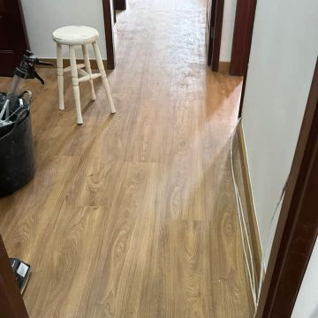 Multiservice - Almada - Remoção de Arbustos