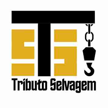 Tributo Selvagem TS - Lisboa - Construção de Terraço