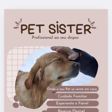 Pet Care Service - Cascais - Dog Walking