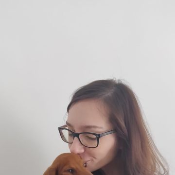 Petsitting - Oeiras - Cat Sitting