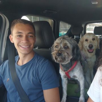 Tiago Neves - Lisboa - Dog Sitting