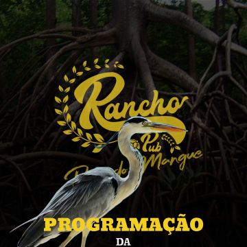 Voe Local | Consultoria de Marketing e Desenvolvimento de Marcas - Fafe - Design de UI