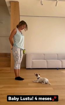 INÊS DUARTE TREINO E COMPORTAMENTO ANIMAL - Cascais - Entrenamiento de animales y modificación de la conducta (no caninos)