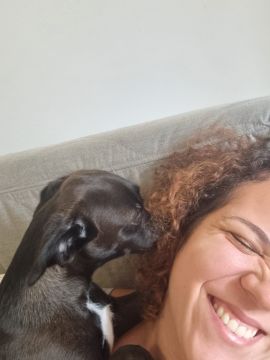 Maira Ramos - Almada - House Sitting