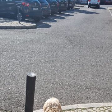 Maira Ramos - Almada - Promenade de chiens