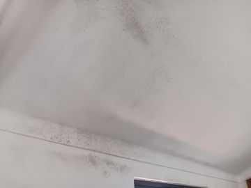 Reparação ou Manutenção de Telhado