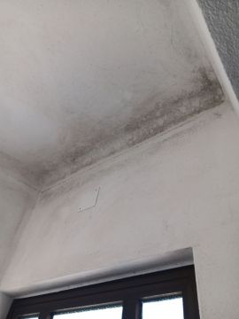 Reparação ou Manutenção de Telhado - Telhados e Coberturas