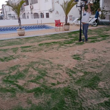 Amândio - Albufeira - Remoção de Tronco de Árvore