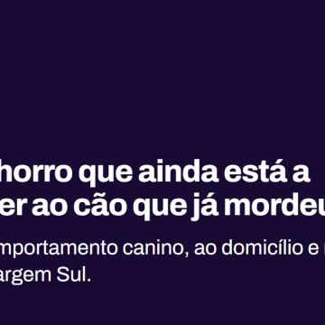 Prime K9 - Treino de Cães ao Domicílio, em Lisboa e Margem Sul - Lisboa - Treino Animal e Modificação Comportamental (Não-canino)