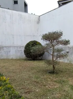 Jardinagem