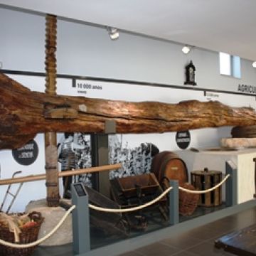 ANA DOURADO.ARQUITETA - Coimbra - Picture Hanging and Art Installation