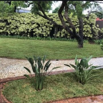 Cerrado Nobre - Figueira da Foz - Nettoyage en profondeur