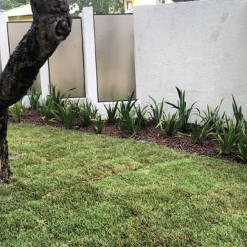 Cerrado Nobre - Figueira da Foz - Nettoyage de propriété