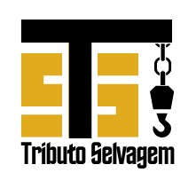 Tributo Selvagem TS - Lisboa - Manutenção e Reparação de Terraço