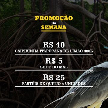 Voe Local | Consultoria de Marketing e Desenvolvimento de Marcas - Fafe - Serviços de Apresentações
