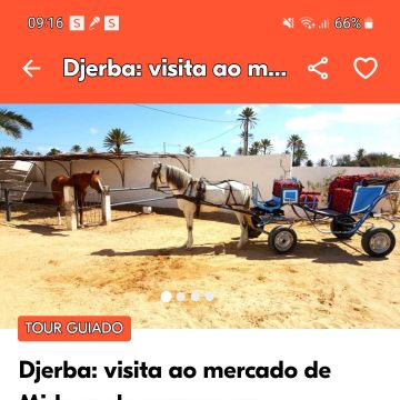 Susana Ribeiro - Mira - Pet Care and Grooming