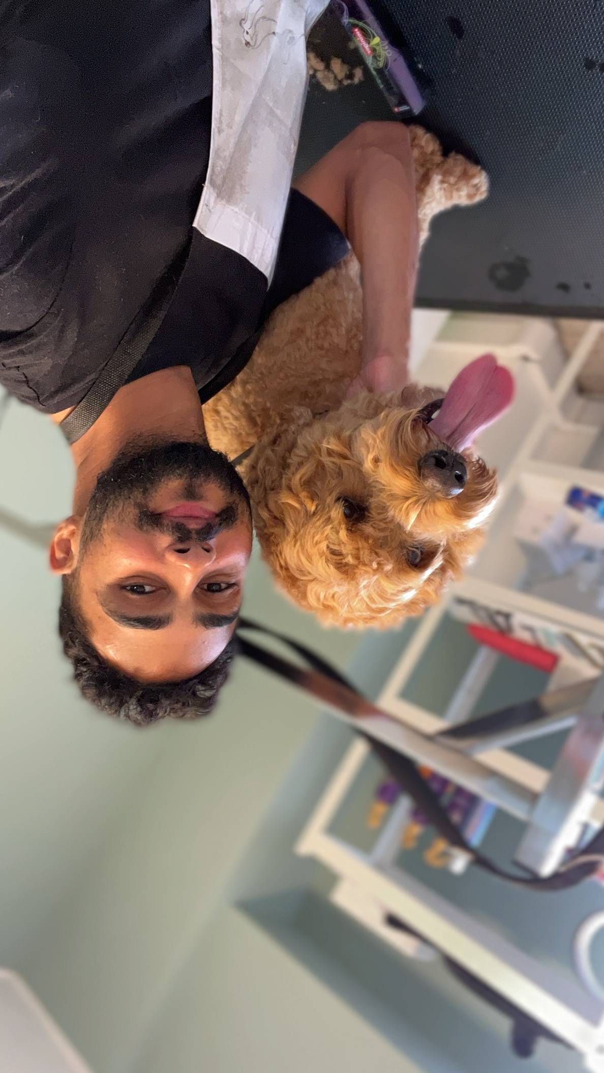 Maykon Alves - Cascais - Dog Sitting