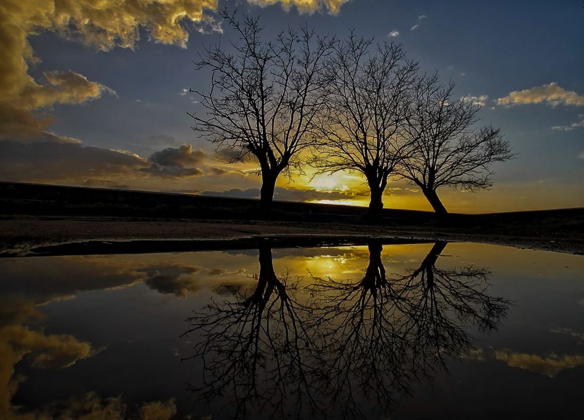 Pedro Manuel Ramalho Perdigão - Estremoz - Fotografia de Bebés