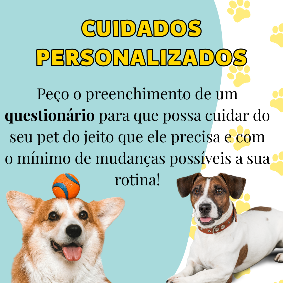 Ana Laura - Coimbra - Dog Walking