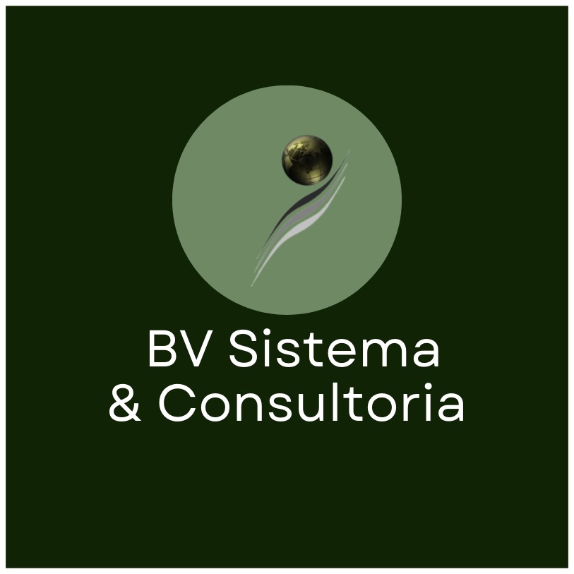 BV Sistema & Consultoria - Figueira da Foz - Statistical Analysis