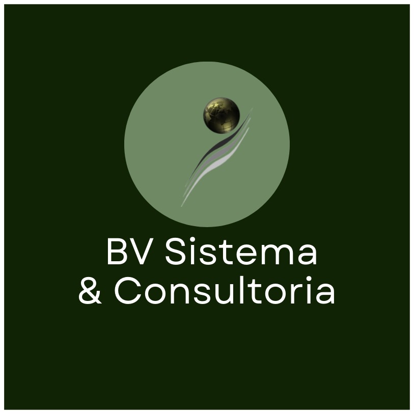 BV Sistema & Consultoria - Figueira da Foz - Análise Estatística