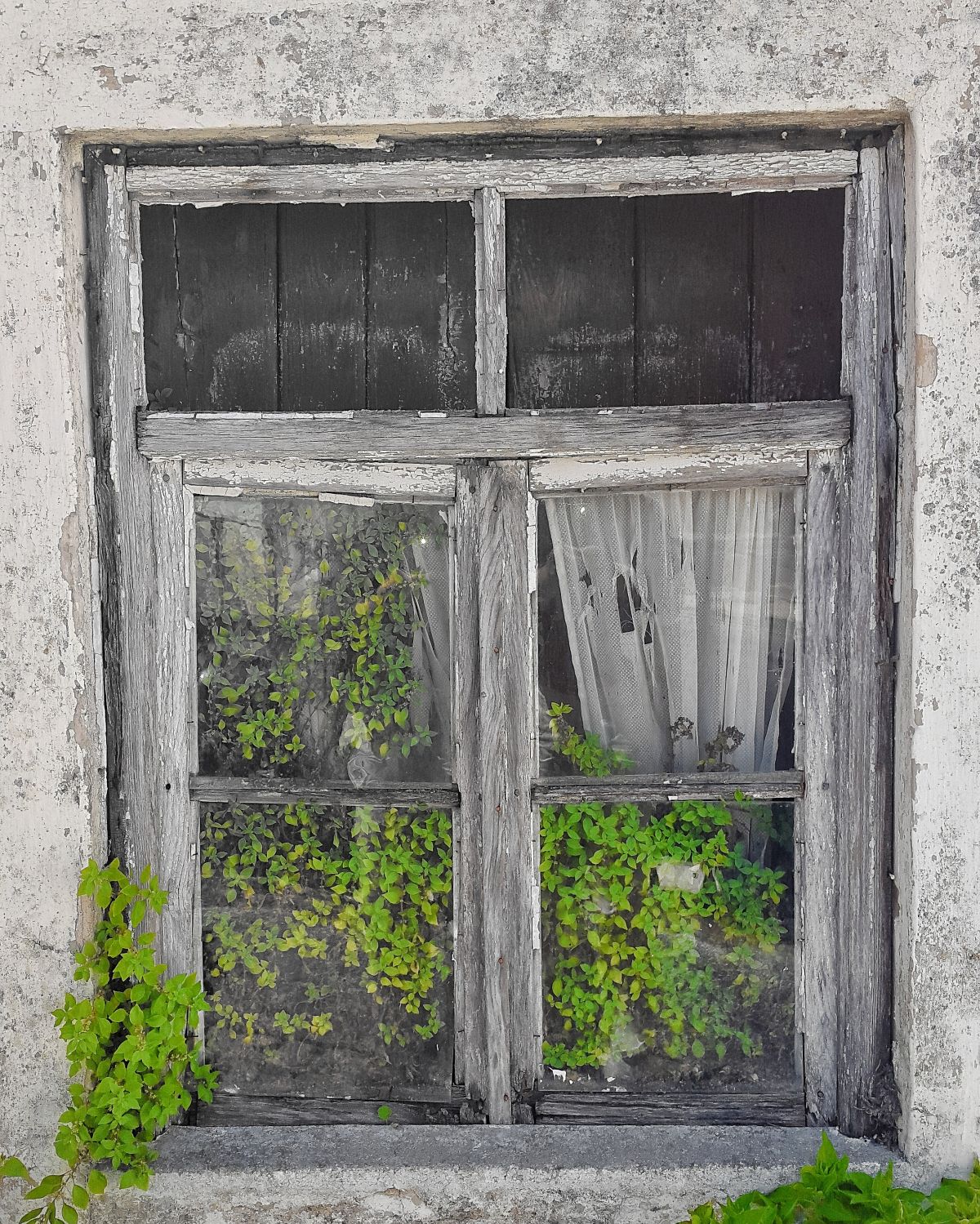 Pedro Manuel Ramalho Perdigão - Estremoz - Fotografía de eventos