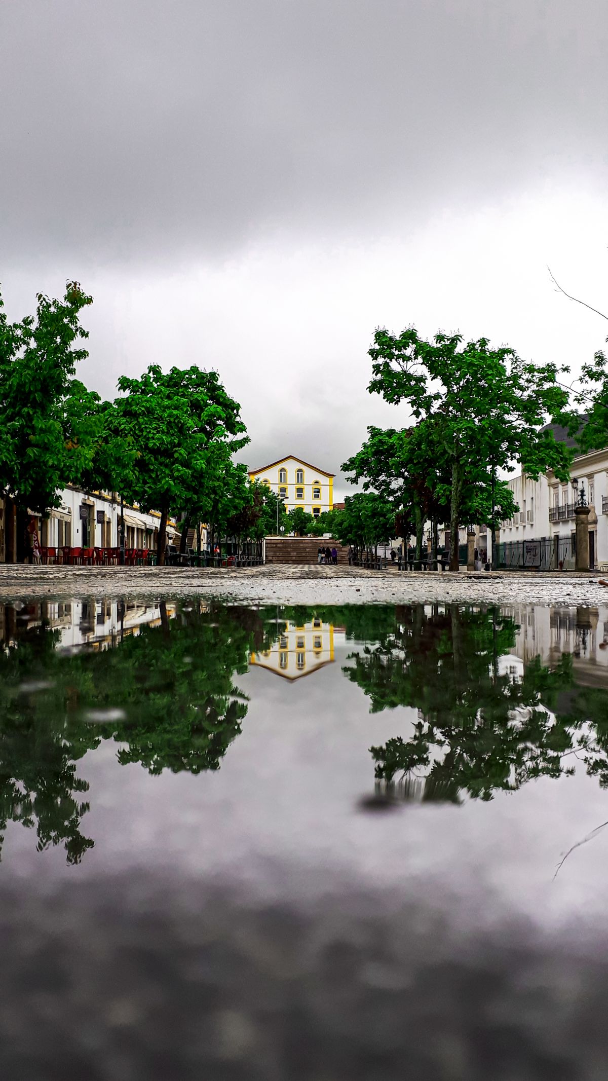 Pedro Manuel Ramalho Perdigão - Estremoz - Digitalização de Fotografias